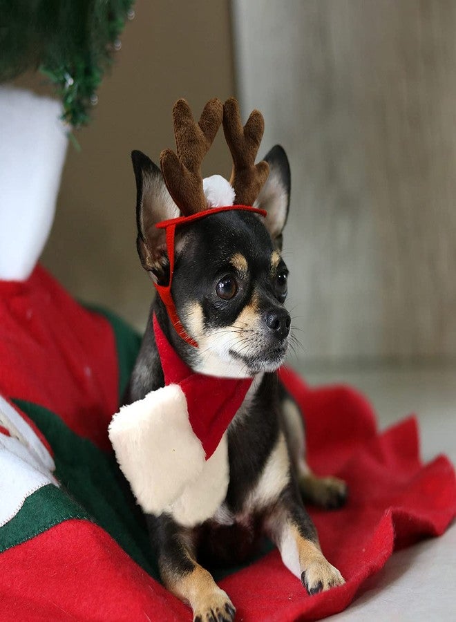 PETLESO Cat Reindeer Antlers with Christmas Scarf, Small Dog Santa Costume, Pet Xmas Outfits for Kitten, Puppy - Image 5